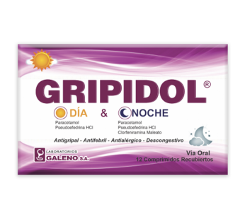 Gripidol Dia Y Noche Caja X 12 Comp.